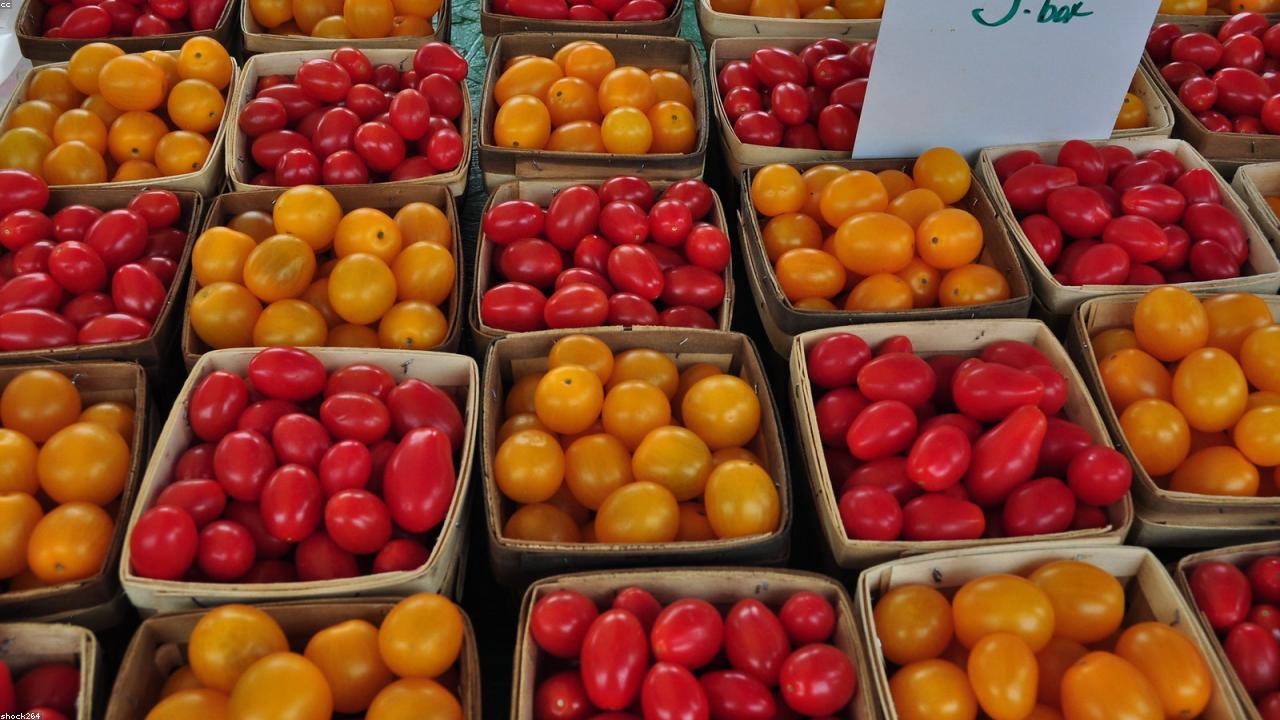 15 Essential Tips to Improve Your Healthy News