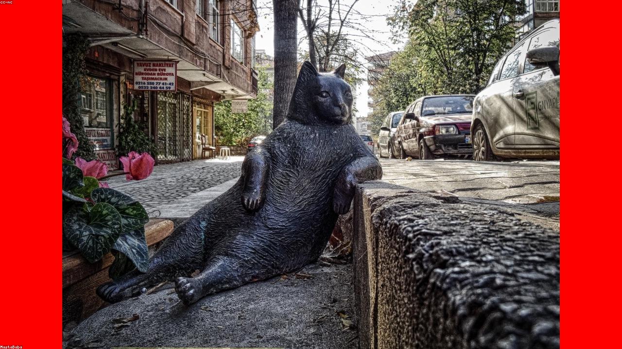 41 Proven Tips to Improve Your Health Insurance